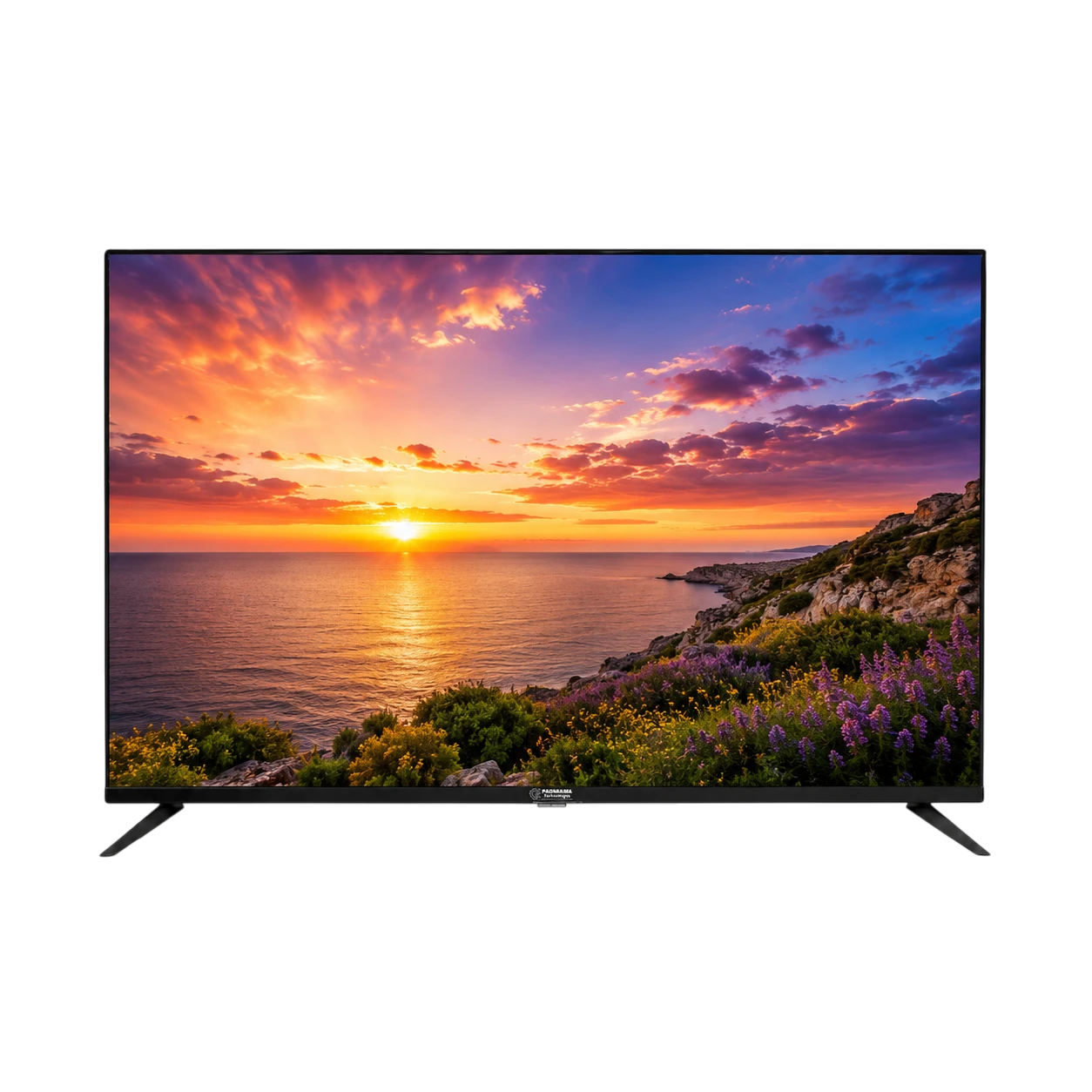 Padmamba Technologies LE55PTS8FLU 55" 4K Android Smart LED TV 6